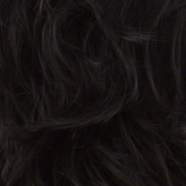 Chanel | Remy Human Hair Wig (Mono Top) - Image 4