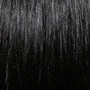 LFHH-Daisy | Human Hair Lace Front Wig (Basic Cap) | DISCONTINUED - Image 3