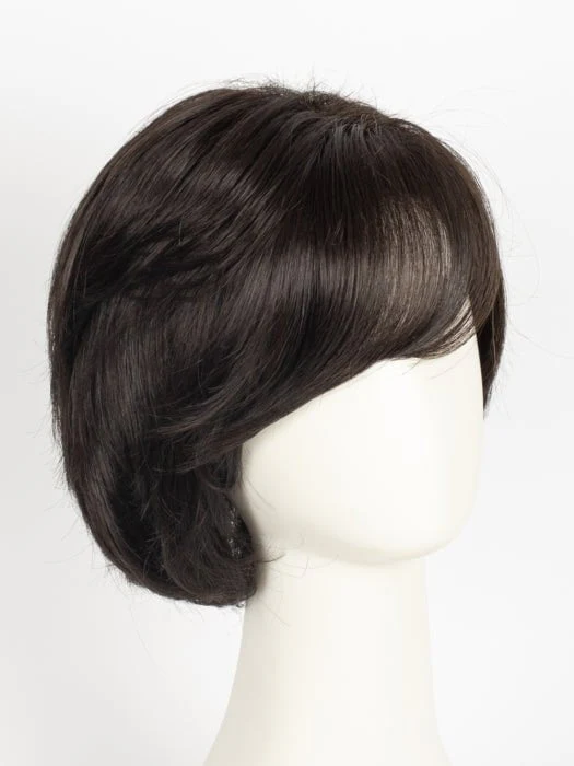 Hillary | Synthetic Lace Front Wig (Basic Cap) - Image 9