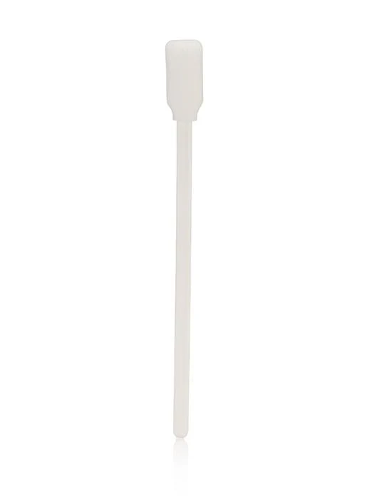 Sponge Brushes (12 Count)