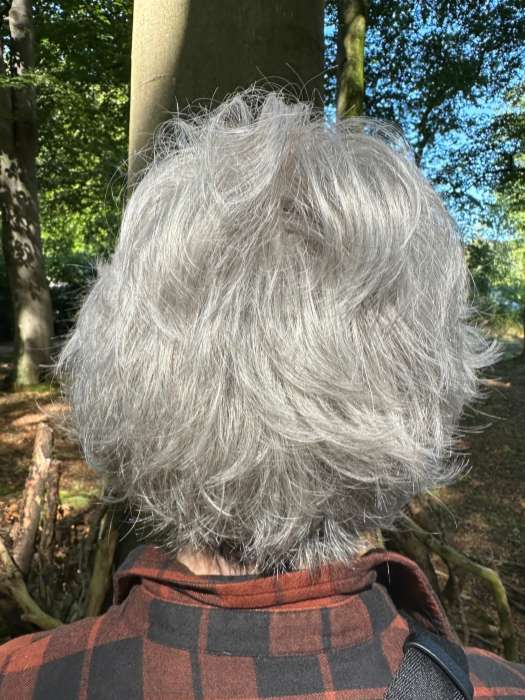 Voltage Large | Synthetic Wig (Basic Cap) - Image 4